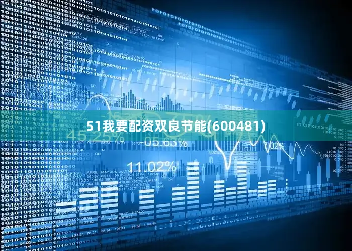 51我要配资双良节能(600481)