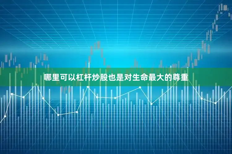 哪里可以杠杆炒股也是对生命最大的尊重